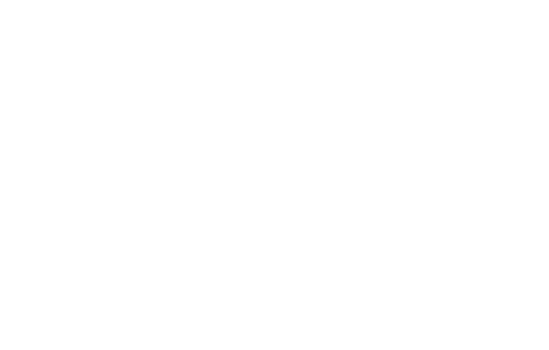 Schriftzug Löwen Cola